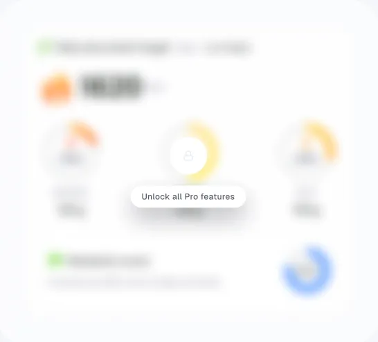 The Pro features panel waiting to be unlocked